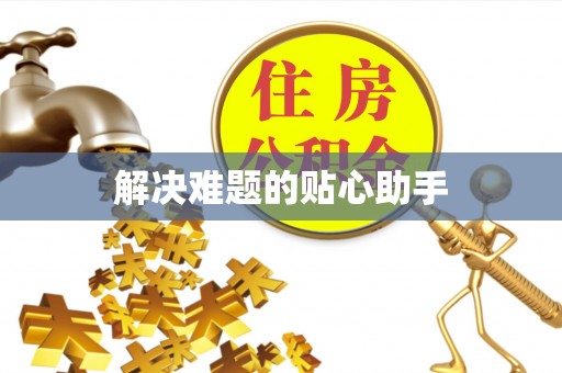 贾汪解决难题的贴心助手