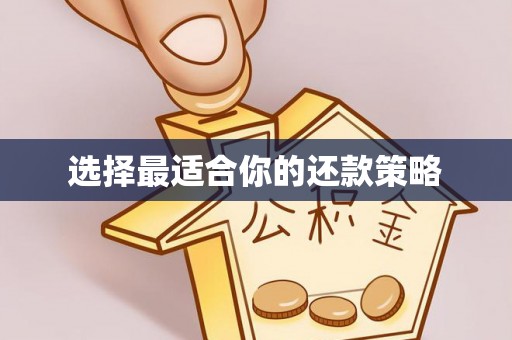 贾汪选择最适合你的还款策略